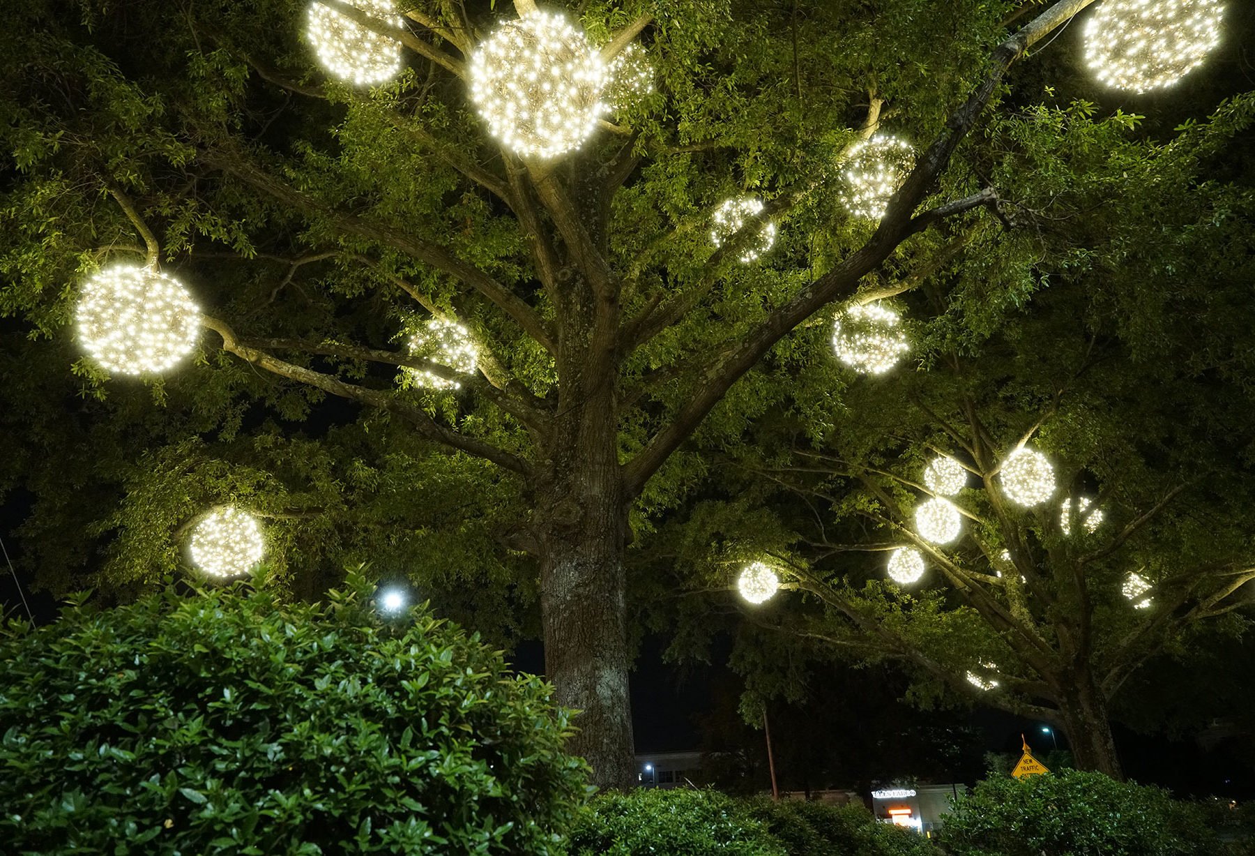 exterior christmas light balls